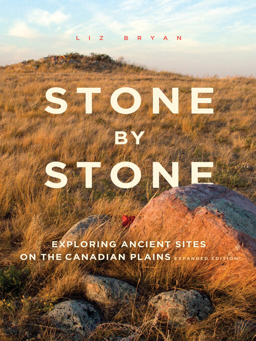 Title details for Stone by Stone by Liz Bryan - Available